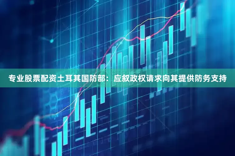 专业股票配资土耳其国防部：应叙政权请求向其提供防务支持
